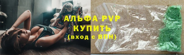 стаф Коряжма