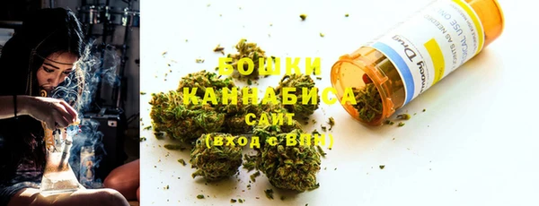 стаф Коряжма