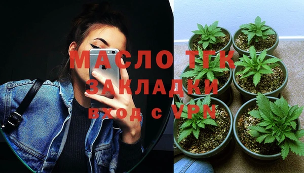 гашик Костерёво