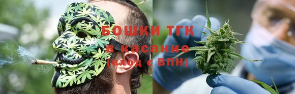 гашик Костерёво