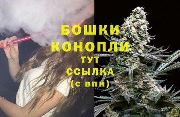 стаф Коряжма