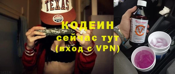 стаф Коряжма