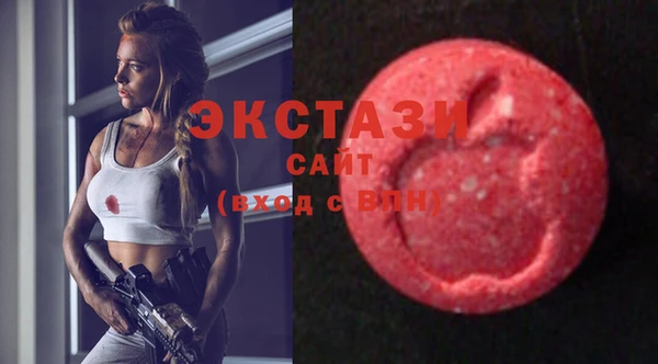 гашик Костерёво